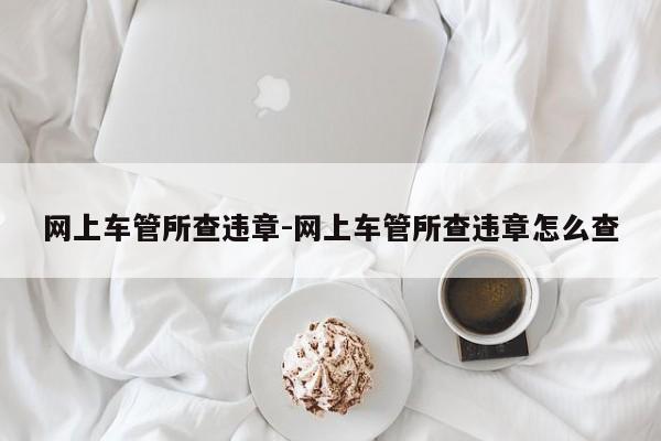 网上车管所查违章-网上车管所查违章怎么查