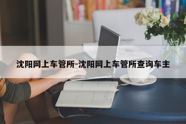 沈阳网上车管所-沈阳网上车管所查询车主