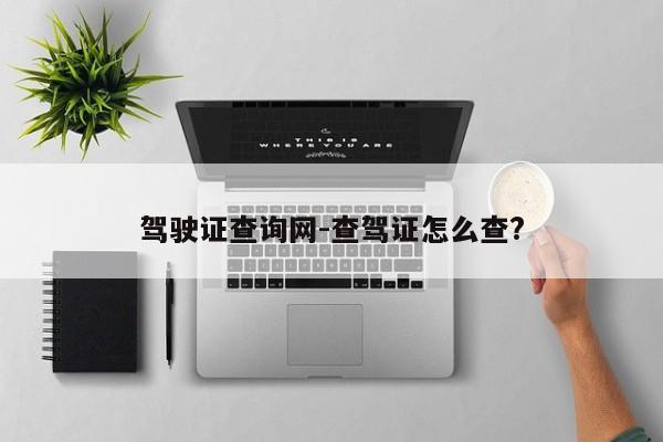 驾驶证查询网-查驾证怎么查?