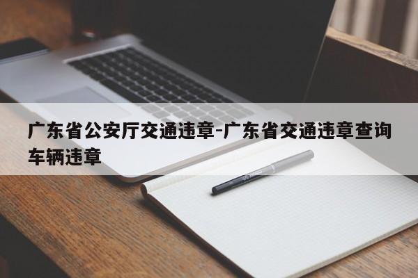 广东省公安厅交通违章-广东省交通违章查询车辆违章