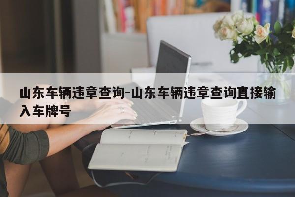 山东车辆违章查询-山东车辆违章查询直接输入车牌号