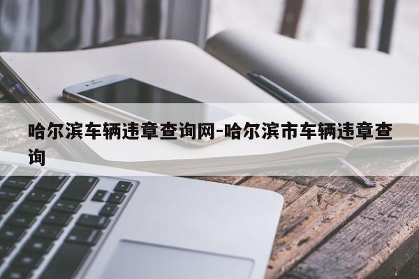 哈尔滨车辆违章查询网-哈尔滨市车辆违章查询