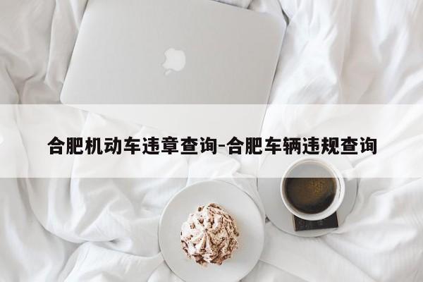 合肥机动车违章查询-合肥车辆违规查询