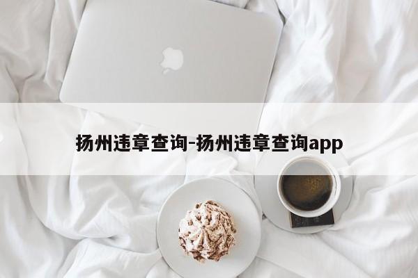 扬州违章查询-扬州违章查询app