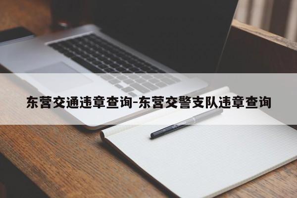 东营交通违章查询-东营交警支队违章查询