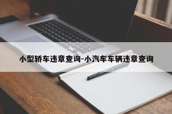 小型轿车违章查询-小汽车车辆违章查询